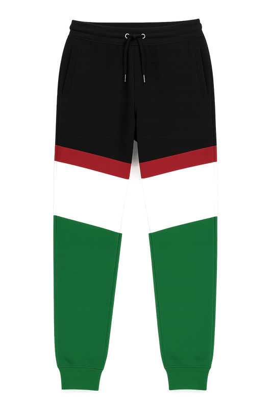 Palestine Flag Sweat Pants