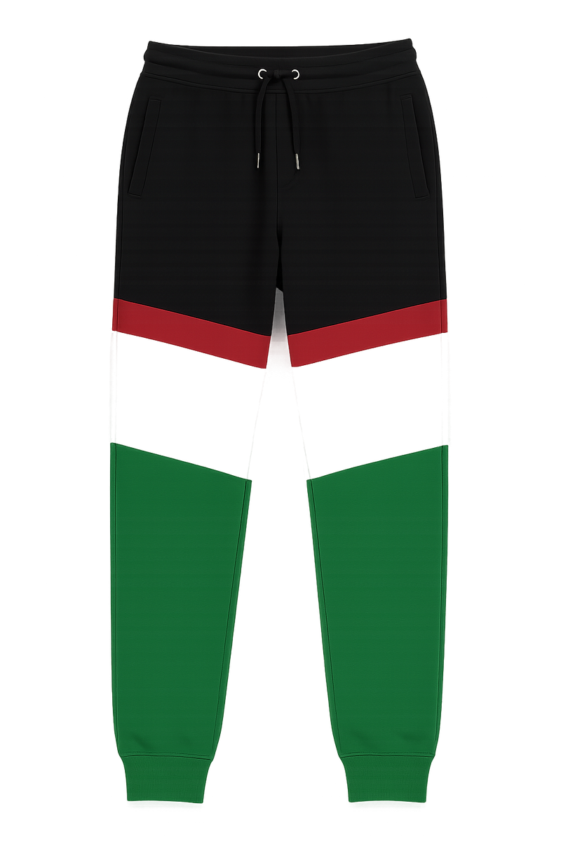 Palestine Flag Sweat Pants