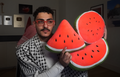 Watermelon Plushy Bundle