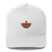 Watermelon & Olive Tree Hat